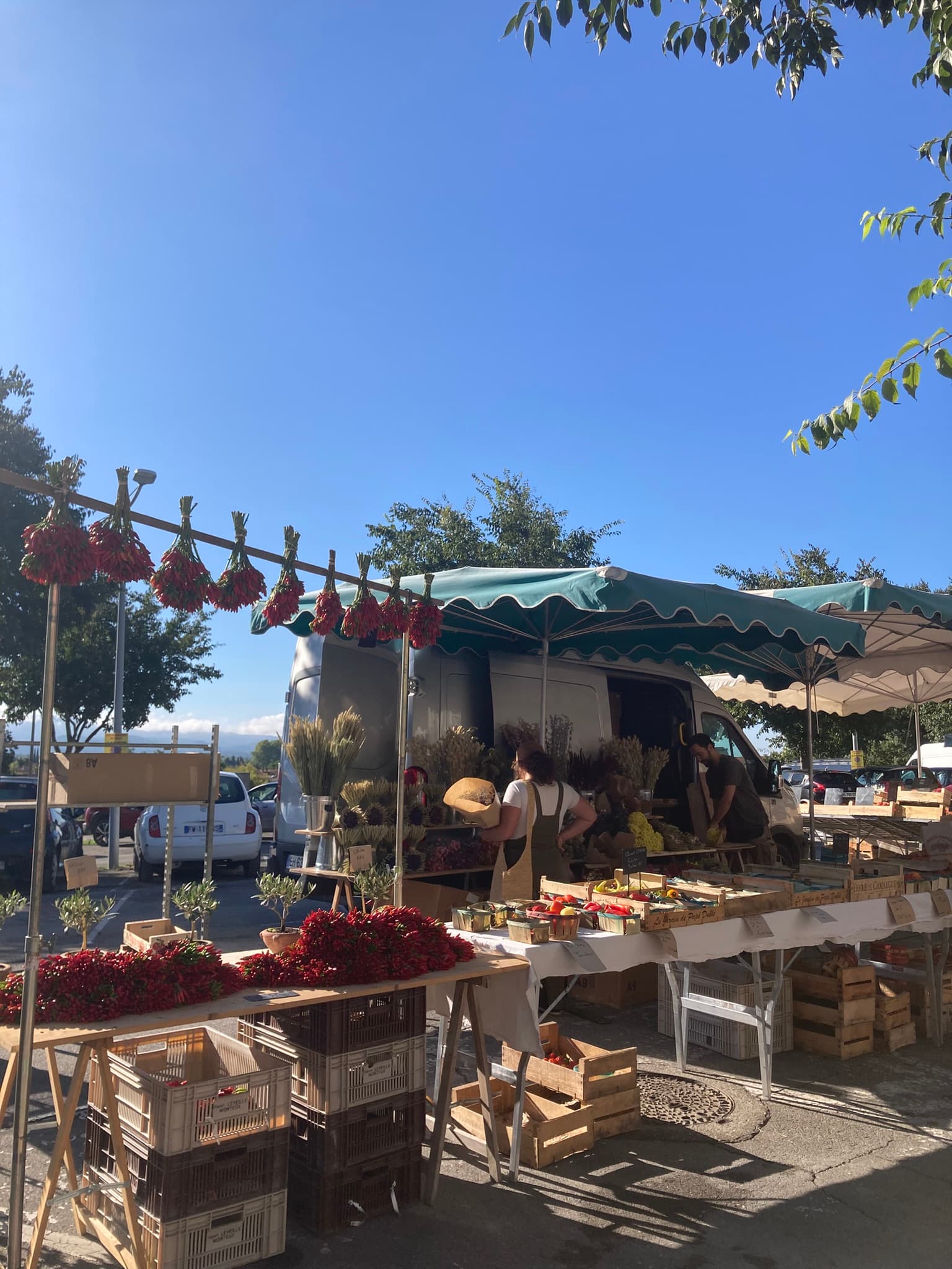 Sortie au marché local
